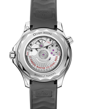 Seamaster Diver 300M